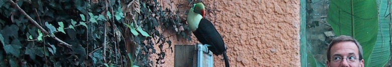 kakatoo-banner